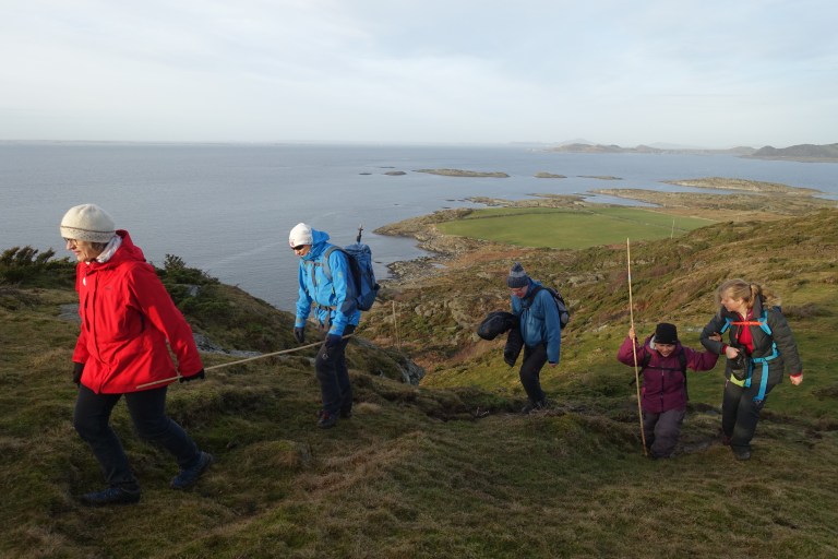 DSC00377.jpg?resize=768,512