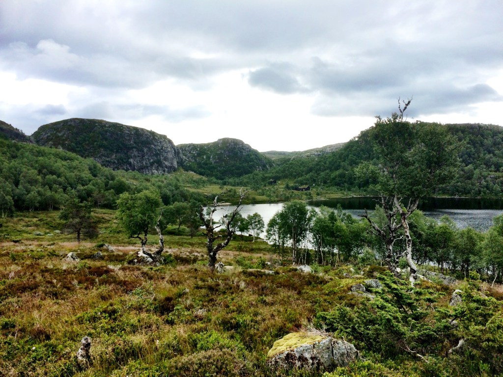 IMG_1662.jpg?resize=1024%2C768