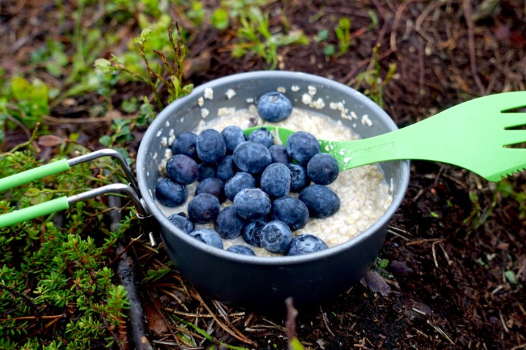 DSC01328.jpg?resize=768,512