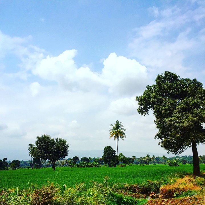 31120897_2048839245158743_13732019247230