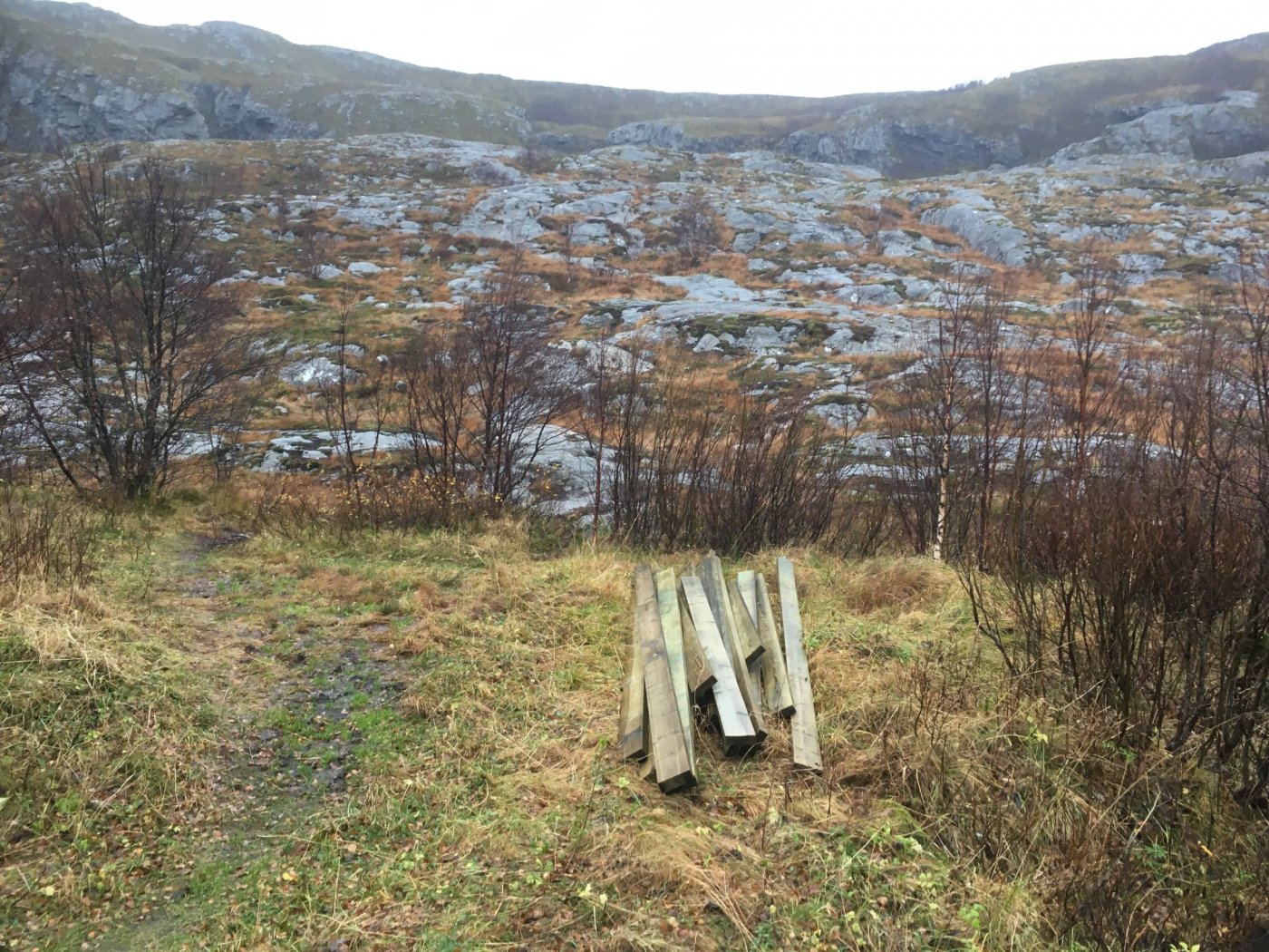 44206390_2173836019327315_63859156667124