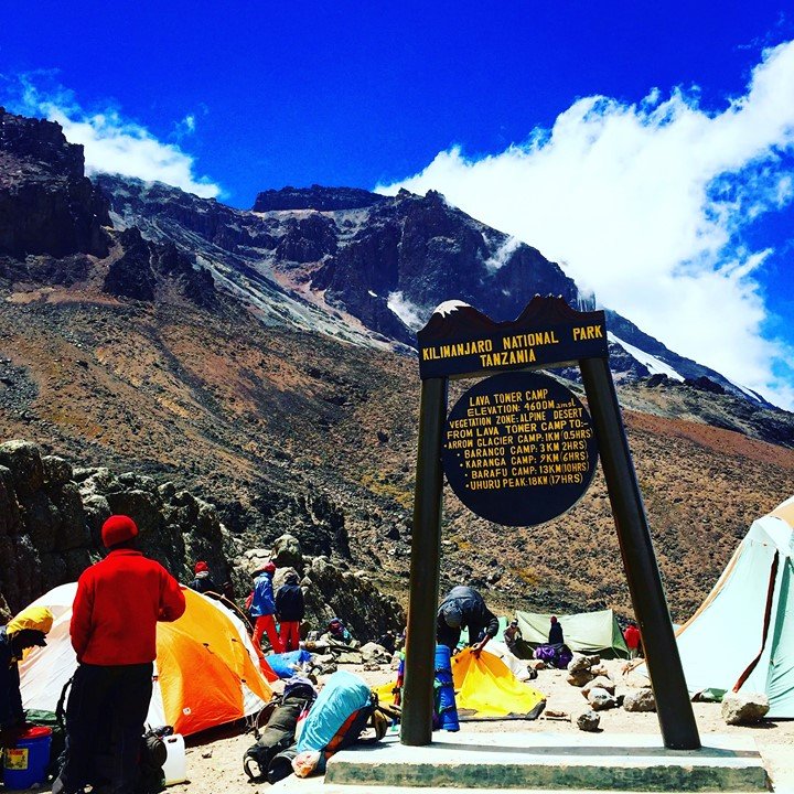 32584479_2082064635169537_52437952188760