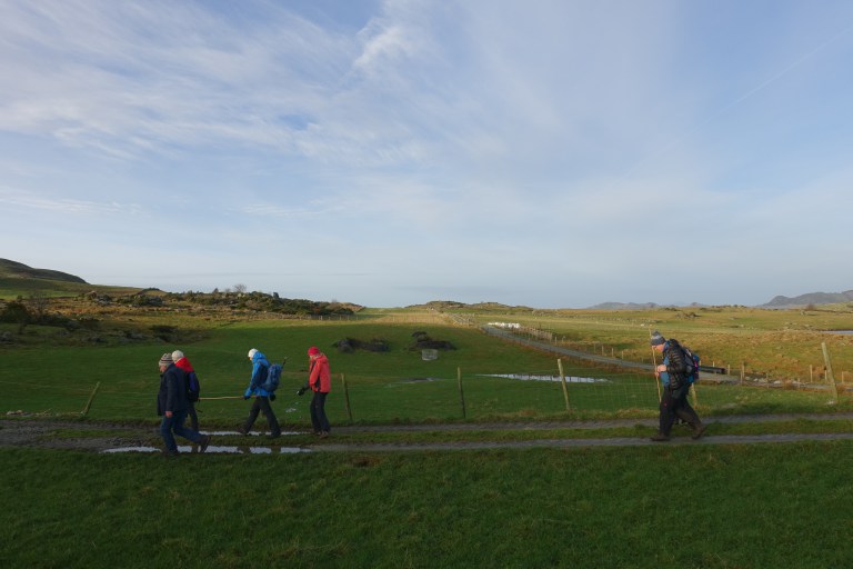 DSC00370.jpg?resize=768,512