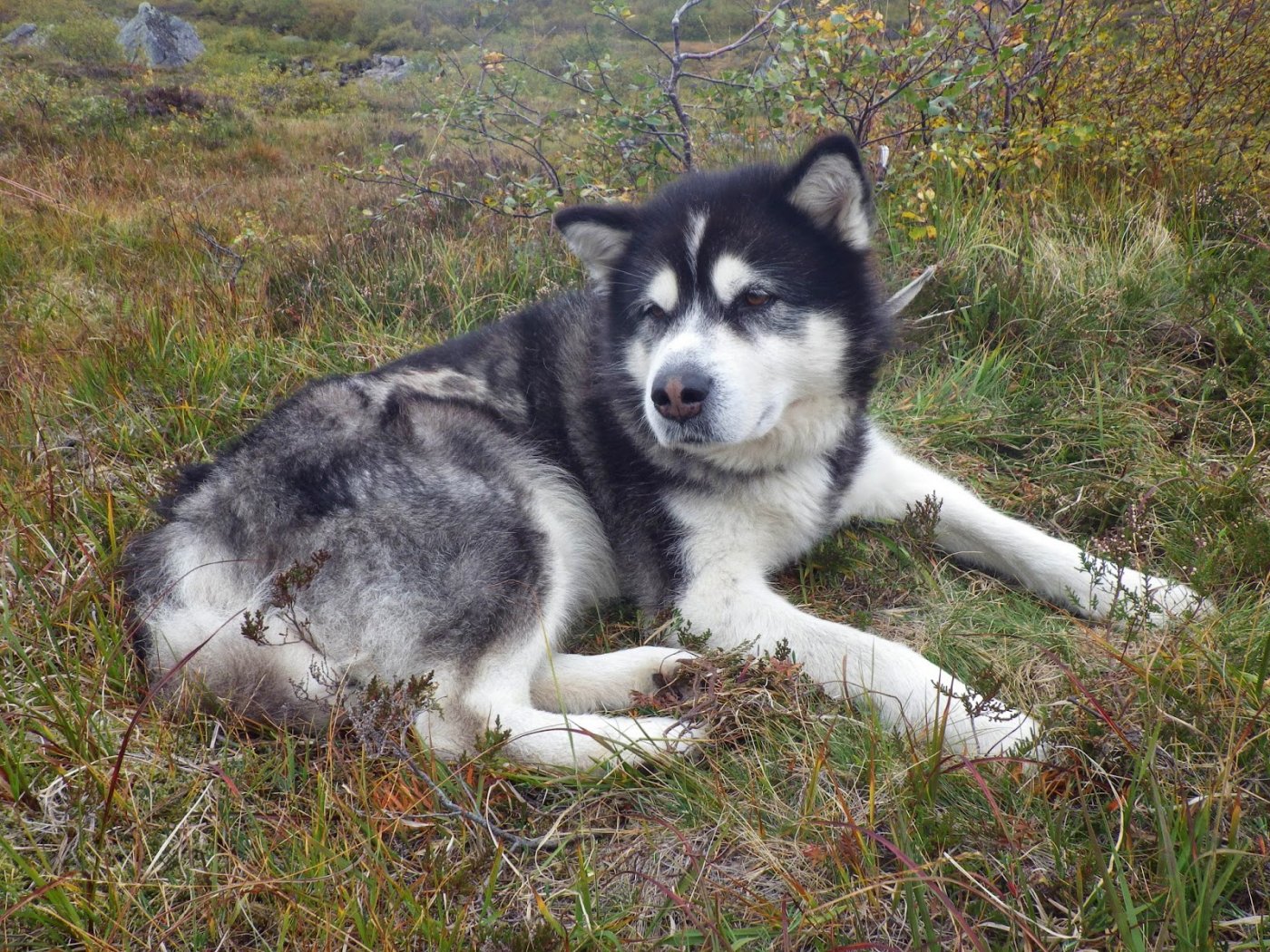 Kvistdalen%2B5-7%2BSeptember%2B2014%2B07