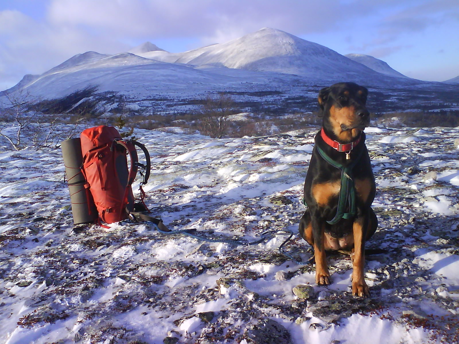 Martin Melsæter sitt bilde.