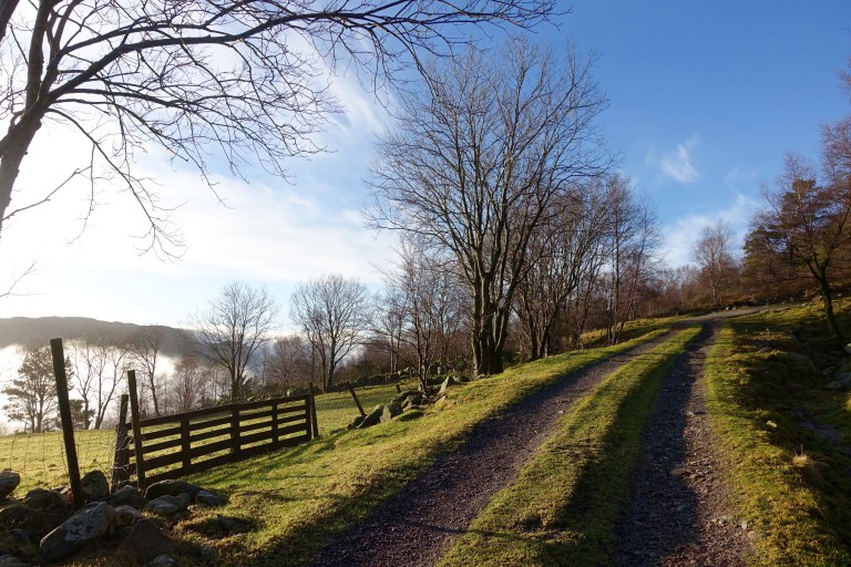 DSC00398.jpg?resize=768,512