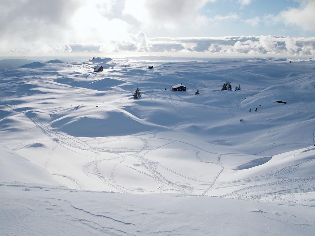 56d3424582b48_Skispor(P2280510).JPG.090c