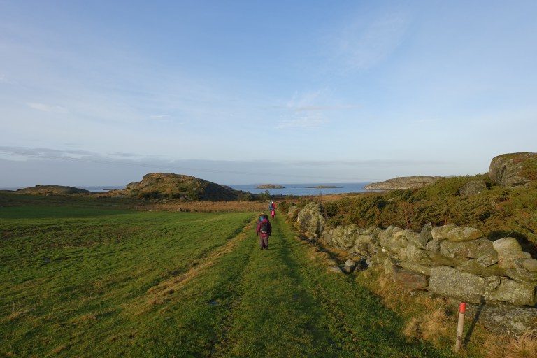 DSC00364.jpg?resize=768,512