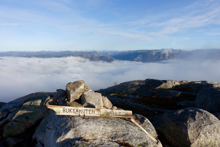 DSC00425.jpg?resize=768,512