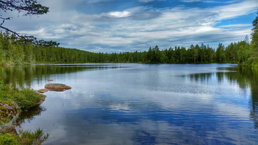 20150801_1132182.jpg?w=855&h=482