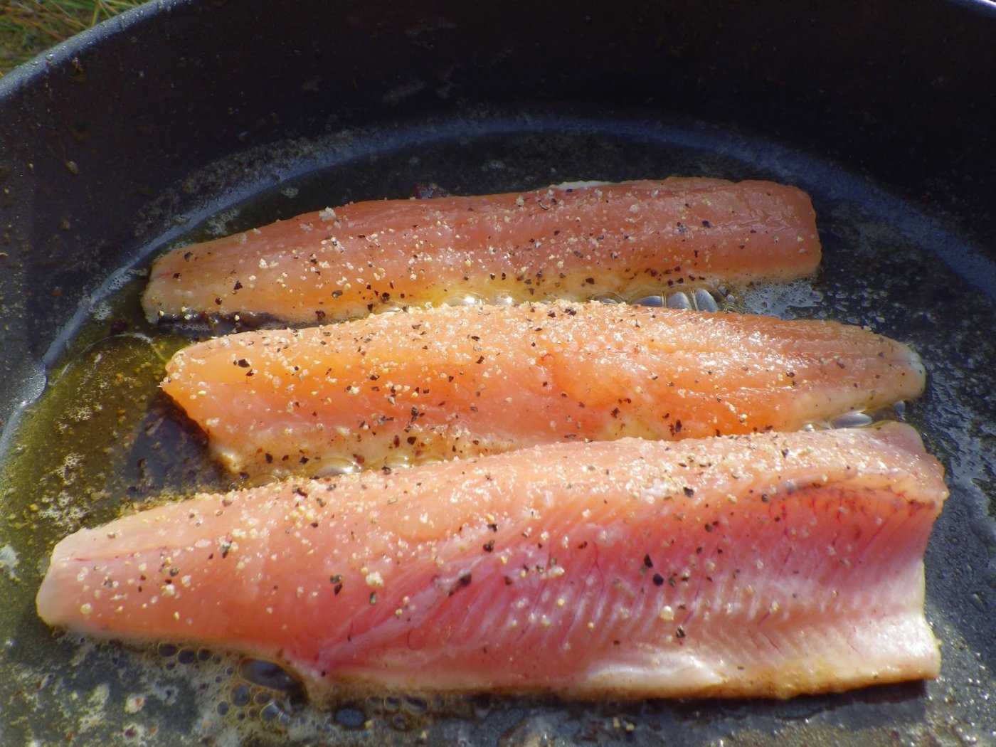 Kvistdalen%2B5-7%2BSeptember%2B2014%2B03