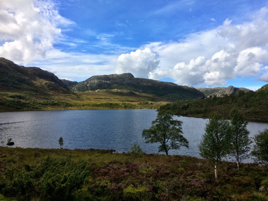 IMG_2715.jpg?resize=1024,768