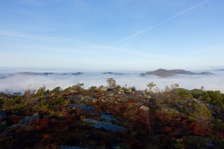 DSC00405.jpg?resize=768,512