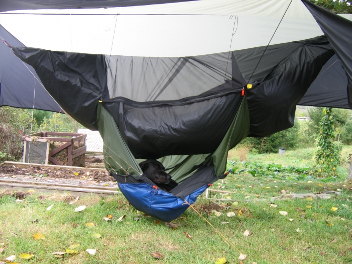 dog_hammock_001.jpg
