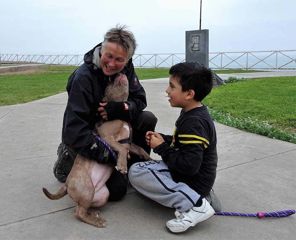 Nok et bilde i serien Aud hilser på dyrene. Fra klippelandskapet over Stillehavet i Lima