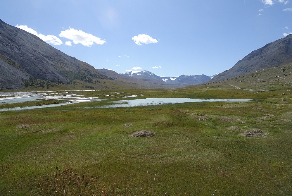 Snilen_20190910_5d7791d90aa71.jpg?p=larg