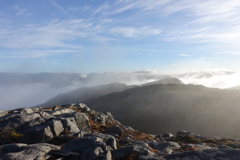 DSC00426.jpg?resize=768,512