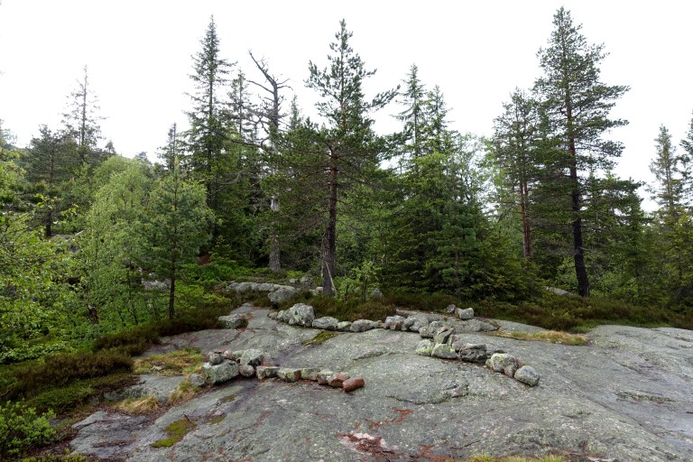 DSC01295.jpg?resize=768,512