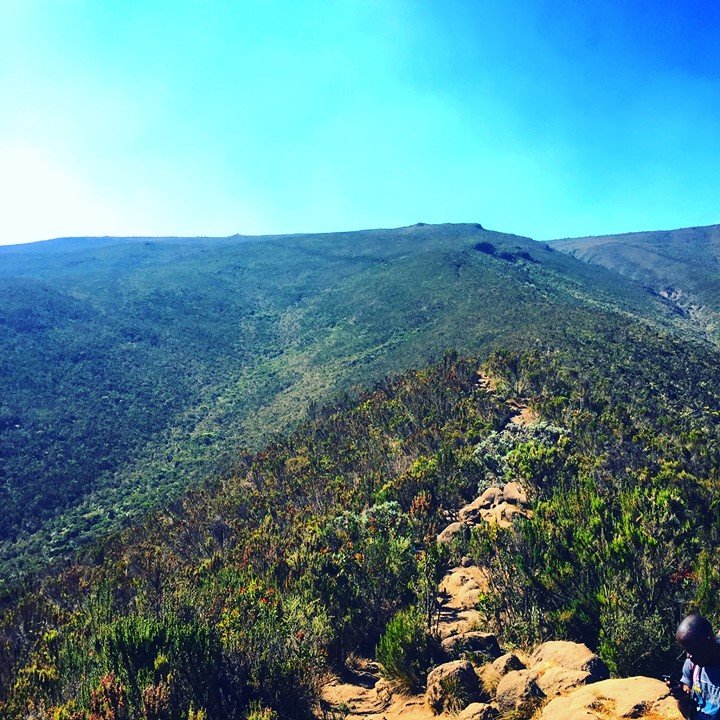 32498312_2082062021836465_12406753830455