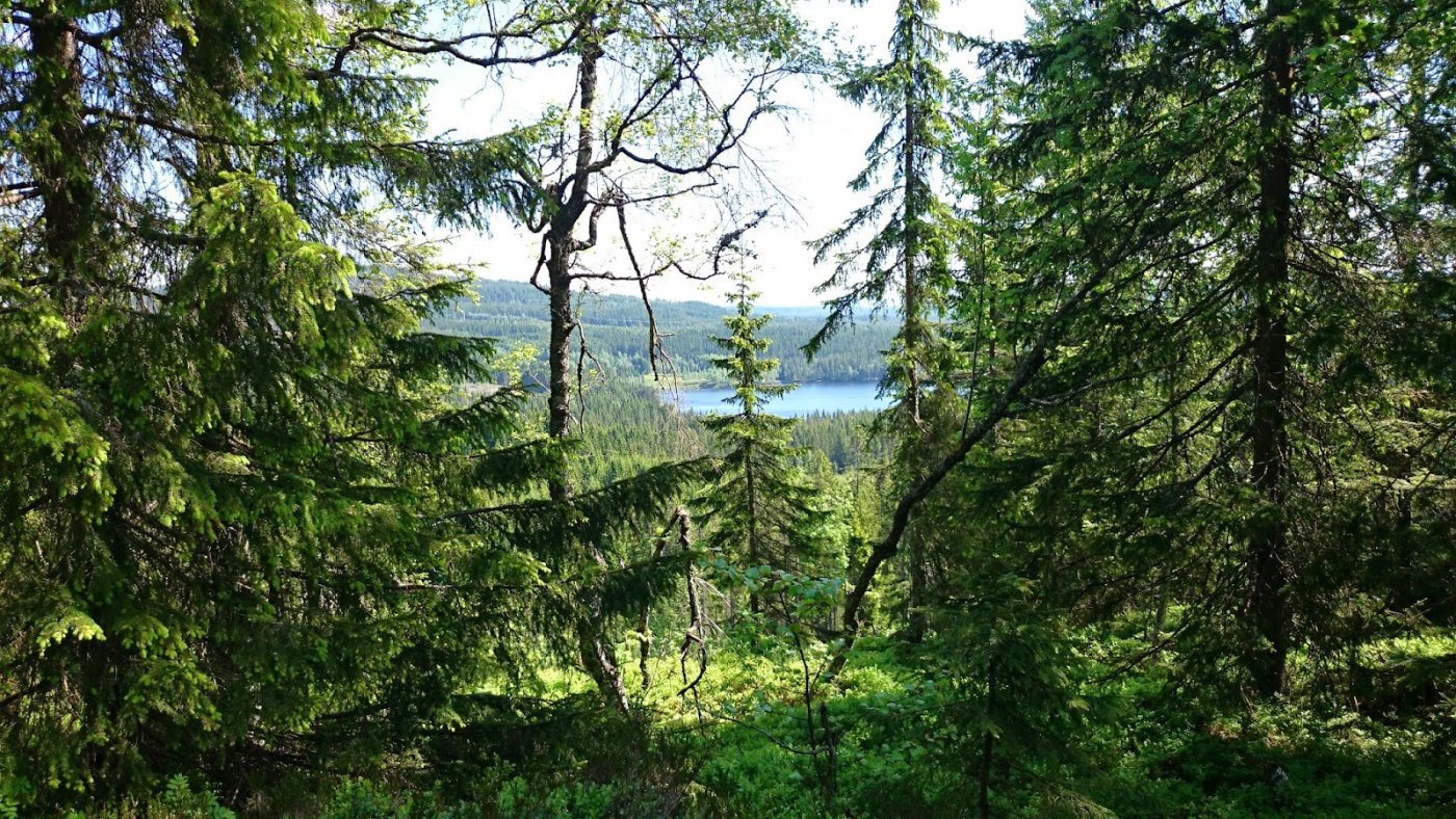 Jotunheimstien%252C+del+1+%252817%2529.J