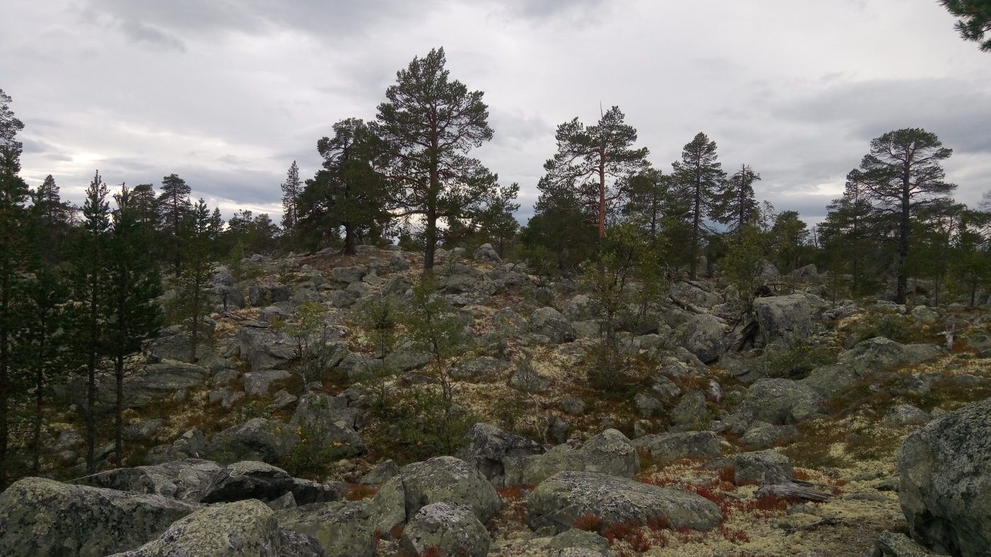 UtbNNEDLtdoo4VMOslB3pLqbPhc2R0kIu6wVAs9F121qDXTil0a1BuTkWi4JxXKgg5J-AYOIhRVXAEnGX88jgyfGxyTIngyT7rsAJWzg6kXtQzzO7P8_KZD27Ap4A1xQqXfS0Bo7yuXLqMkhDP8_YJ-Gyr9f32_sGGfl-PvddvH44QU4SJrsmuTPltEAea94-DC9DZpld28J6blUywciG6nACXy3FIQ0Ta2nUmmSJiGc54Lhvo7QWQh6tfVJJ-DIb2Dj-gzrF401nvrc4k4je66zFtT_0P4pYgZA4QL8wX_GQ0V7NBuxNguNc4t9hnHmbYR9Z083hQv3FnEsywiVusaeheYvQ7-61b5tzDouaFmGVPeBH57TNjLHbqPs_vvqQs-ErnmAXfT9JpazKWHp_b0X-zHQsMGZ3SmOnHD83kCLBIisRm7PNVskXsaBTRhkVn_EdoOzsUUAQXNF_VsBWKYun7Ns3oVSFTmjUKjdGHDKlZ_Fs-9QhEvByHYuAZ2QeCEOgpHBg6DmkAetLpVVqgv-ERPMK6fLoGpIYxUFIvp0prKKI6MMRHq2qneCAnrQ7geCo79JUWfPDknYEWQAGNbjrpY8yeF8rhj8DEloRcvMNihFCBFyik3pl3fjc43MnjAWjO2R-CrH_sn2IQiW2ubyNkXTzZd0Y3dE6TWuFWsGHCWDUUDFdVY1uc8Yo8xya-hZf2oaiXqJ1sreWLA=w2484-h1396-no