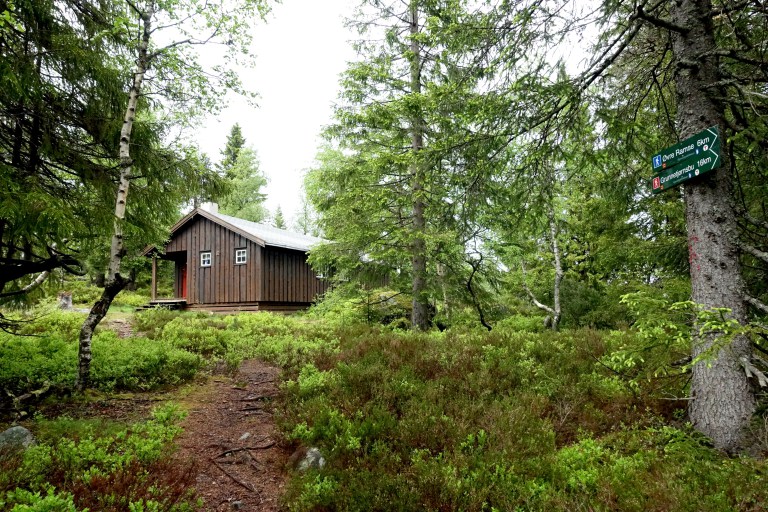 DSC01302.jpg?resize=768,512