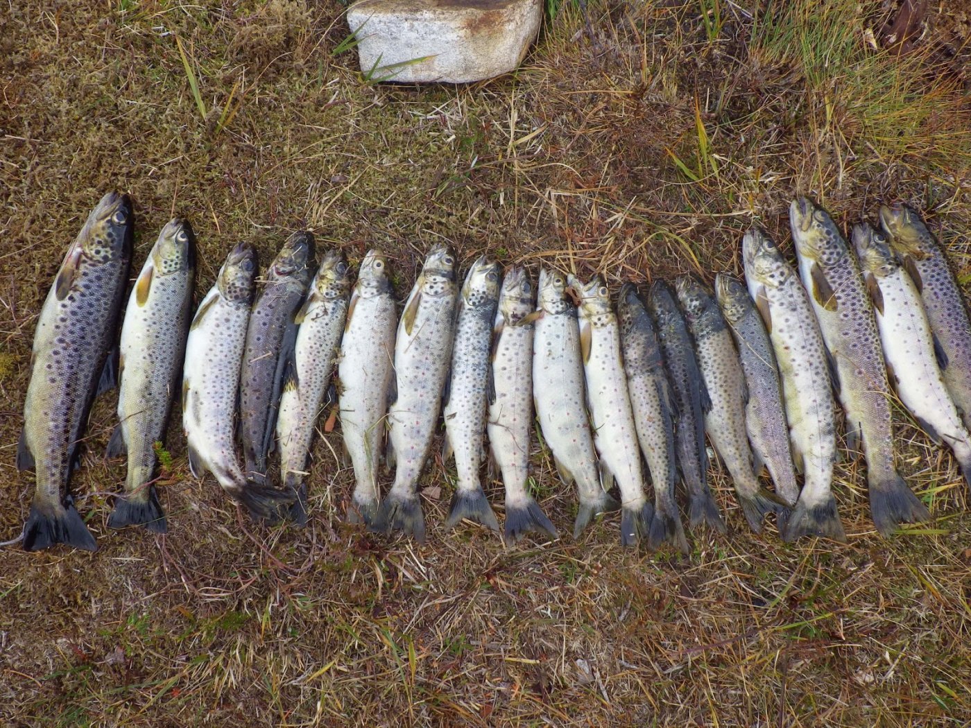 Kvistdalen%2B5-7%2BSeptember%2B2014%2B07