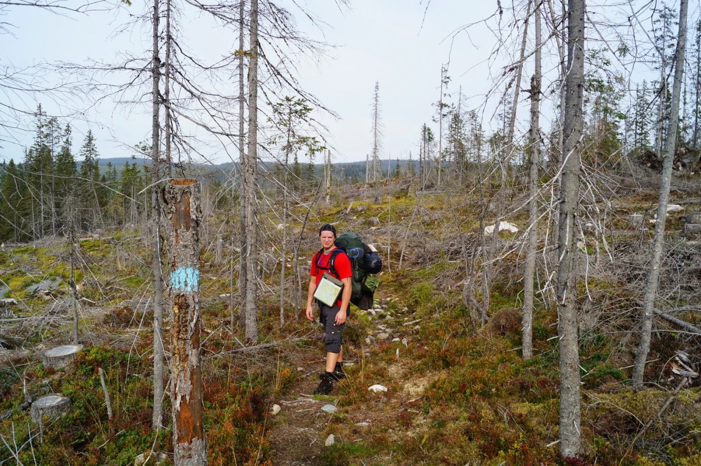 Jotunheimstien%2Bdel%2B2.%2BBrovoll-Lygn