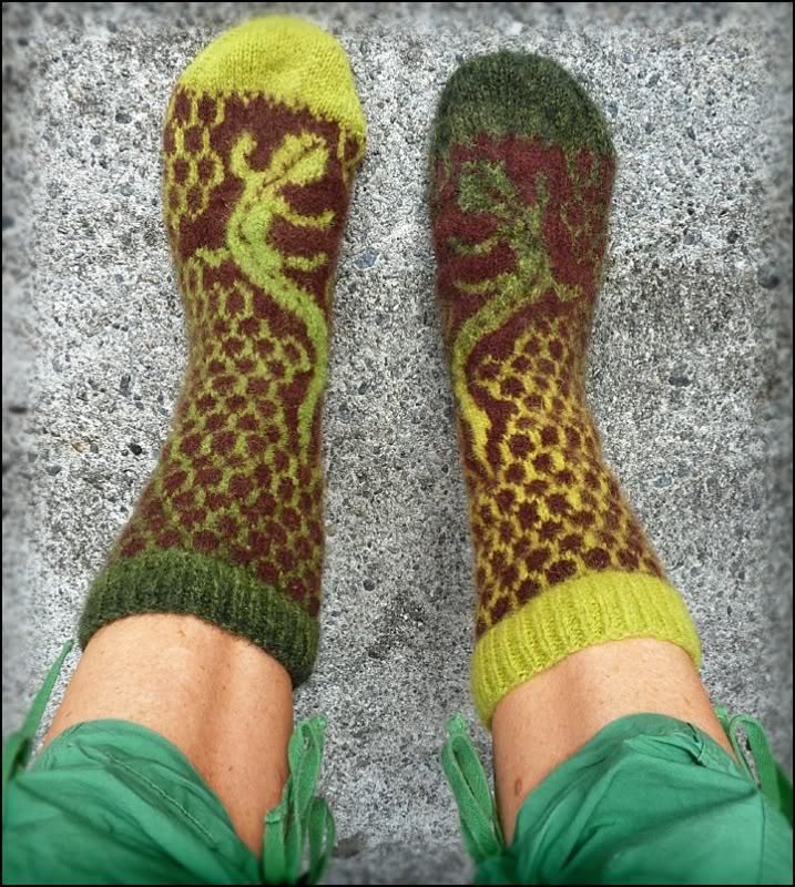 lizardsockskauni.jpg