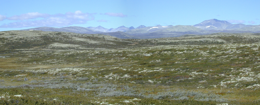 rondane2.jpg