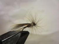 post-1044-0-02084200-1359245096_thumb.jp