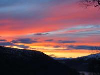 post-11713-0-32024600-1357476206_thumb.j