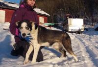 post-11874-0-36950100-1358713615_thumb.j