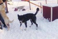 post-11874-0-39451600-1358713585_thumb.j