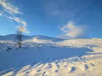 post-11916-0-51241200-1357756473_thumb.j