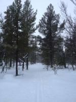 post-11925-0-42011200-1357509672_thumb.j