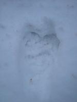 post-11925-0-55035000-1357509677_thumb.j