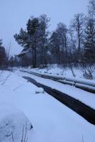 post-11925-0-86555500-1357508496_thumb.j