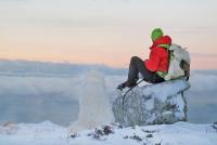 post-11954-0-01979300-1357594669_thumb.j