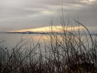 post-4444-0-41954400-1357746292_thumb.jp