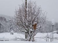 post-4460-0-75227700-1357470813_thumb.jp