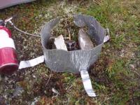 post-6671-0-81964100-1359633441_thumb.jp