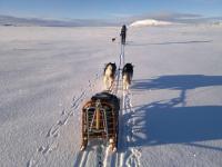 post-7472-0-09932100-1358681971_thumb.jp