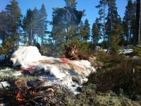 post-7807-0-08528200-1358241671_thumb.jp