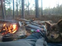 post-7807-0-88042700-1358242433_thumb.jp