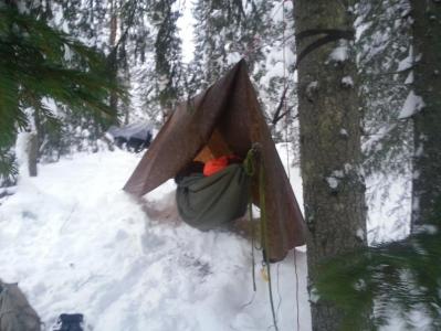 post-11911-0-20411700-1390140397_thumb.j