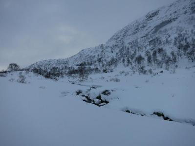 post-13206-0-17059000-1388943657_thumb.j