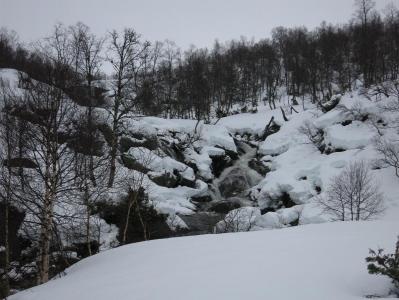 post-13206-0-18922100-1388943647_thumb.j