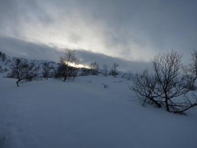 post-13206-0-34190100-1388943659_thumb.j