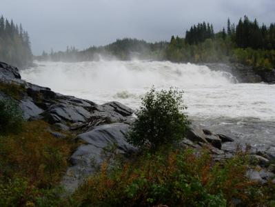 post-1580-0-82073300-1388690212_thumb.jp